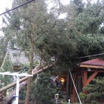 Copyright: FF-Neudorf