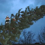 Einsatz der FF Meiendorf am Volksdorfer Damm. Foto: FF Meiendorf