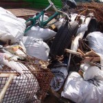 Der in Hummelsbüttel gesammelte Müll füllte den von der Stadtreinigung Hamburg gestellten Container komplett 
