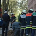 Die Führungsdienste der Feuerwehr: B-Dienst, Zugführer Billstedt und der Umweltdienst.