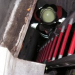 Der Igel wird für seine Rettung vorbereitet.