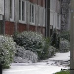 Copyright: Rene Schröder, JF Hamburg