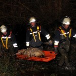 Quelle und Copyright: SH-Presseservice.de