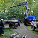 © Christian Timmann