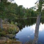 © FF Billstedt-Horn