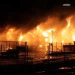 (c) Dominick Waldeck