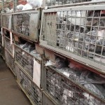 Materiallager für die Einsatzkräfte am Stützpunkt (c) Bereichswebmaster Bergedorf