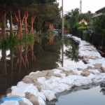 Am alten Elbarm setzte steigendes Grundwasser viele Gebiete unter Wasser, nach über 19 Stunden Pumpen war die Einsatzstelle erfolgreich abgearbeitet. (C) Bereichswebmaster Bergedorf