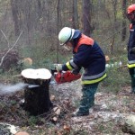 © FF Billstedt-Horn