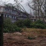 Umgestürzter Baum auf ein Neubaugebäude - Vor Ort war die FF Eidelstedt