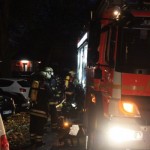 Foto: Daniel Schäfer