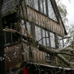 Einsatzstelle der FF Osdorf in Hafennähe (c) FFO