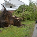 Baum auf Haus gestürzt, FF Lokstedt im Einsatz (C) HamburgNews